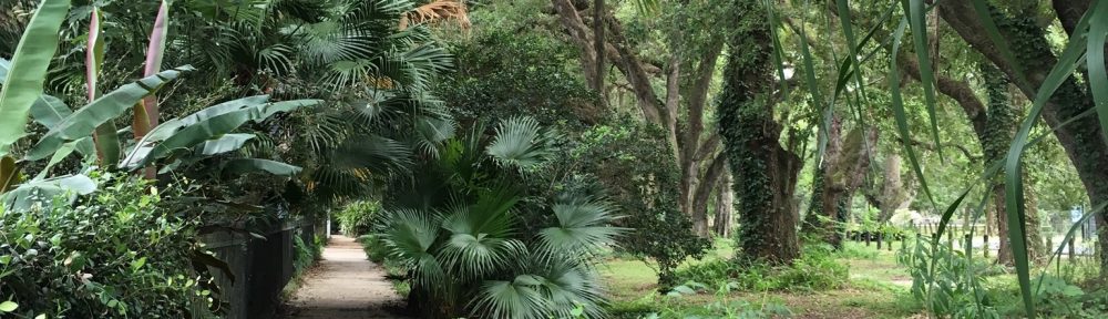 Audubon Park New Orleans
