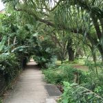 Audubon Park New Orleans