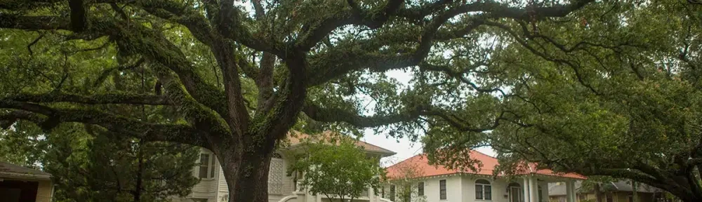 Gentilly Neighborhood New Orleans Furnished Rentals